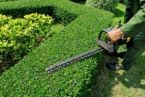 Workers,Were,Using,Electric,Mower,For,Gardening.lawn