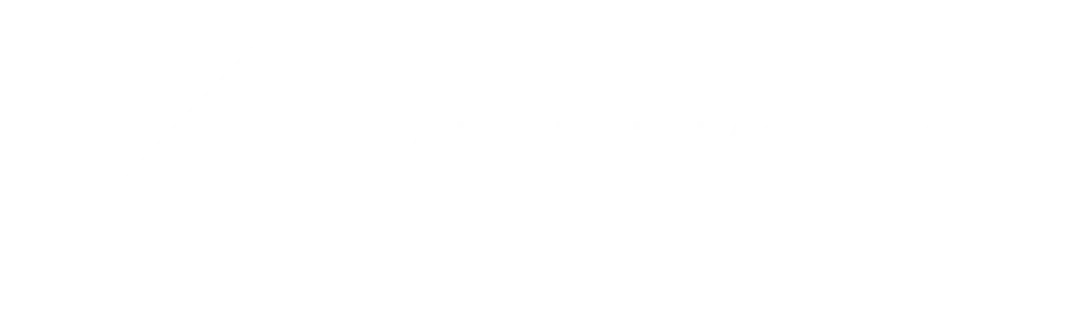 Adam Timothy Group, Austin real estate advisors and investors