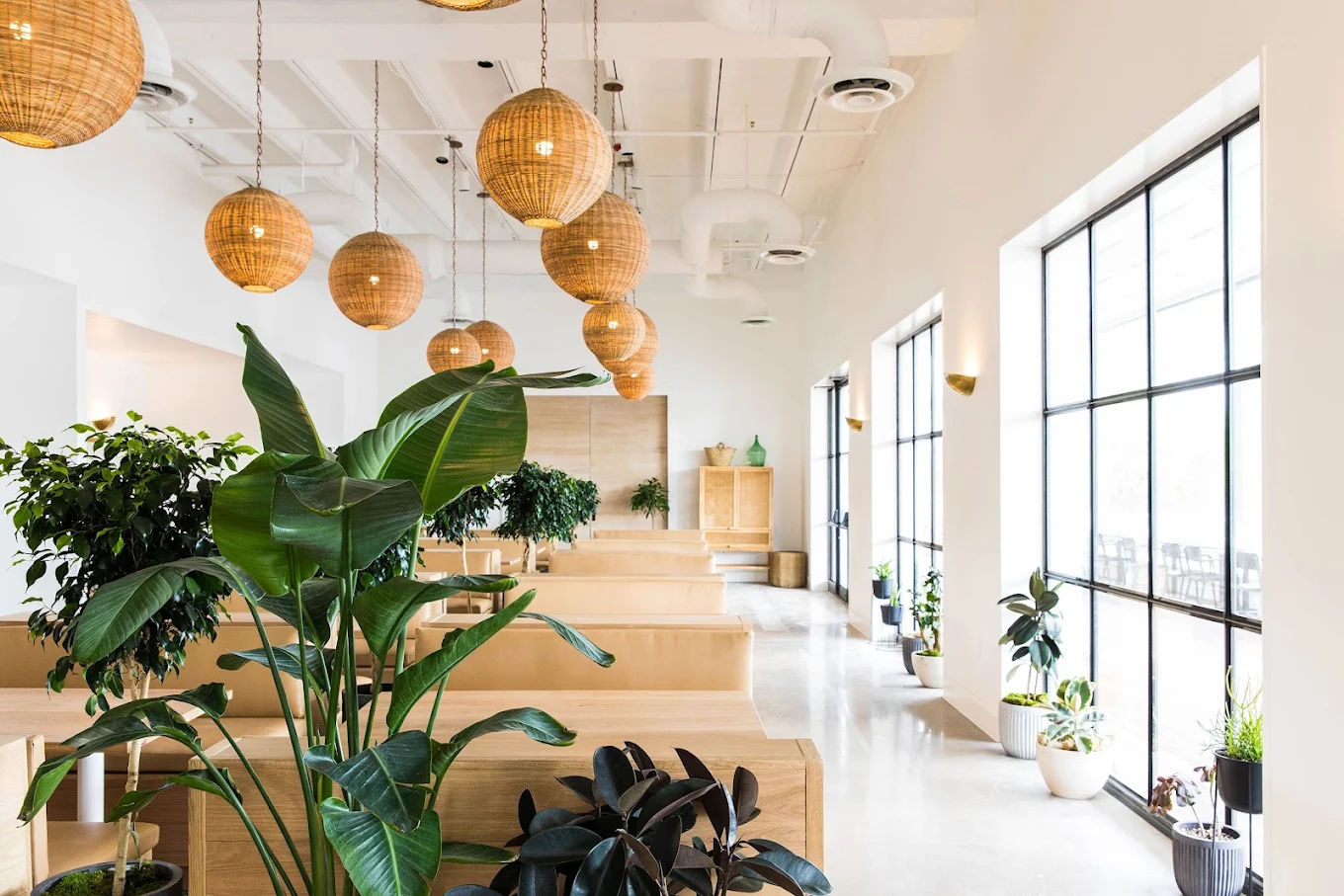 Hank’s Austin restaurant