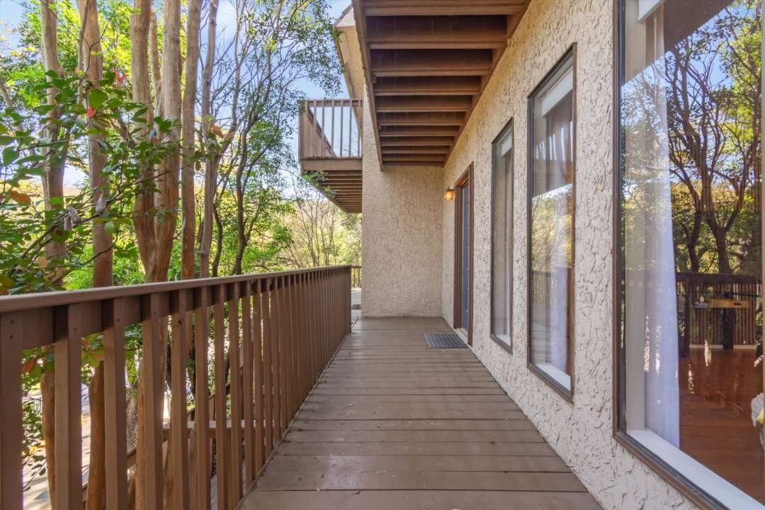 Tree canopy views from entry deck