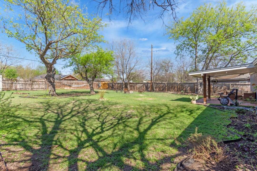 Backyard