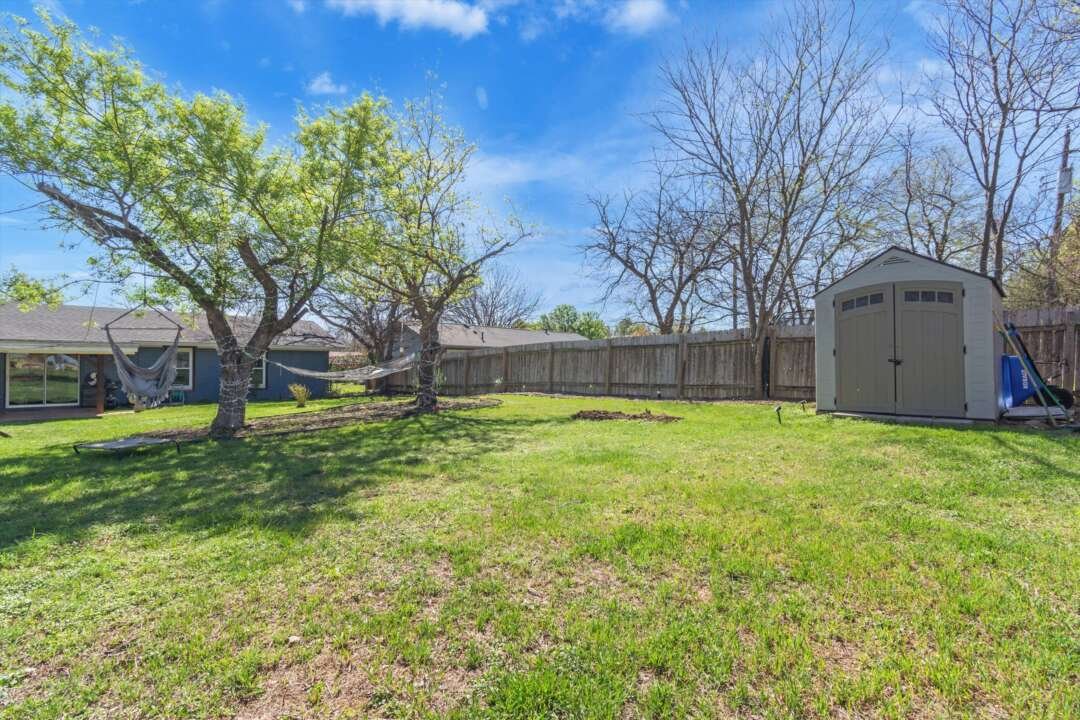 Backyard