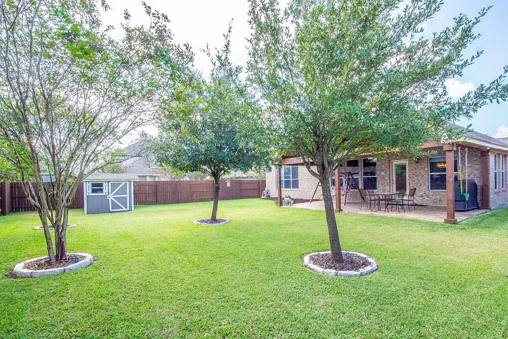 Backyard and mature trees at 13817 Glen Mark Dr